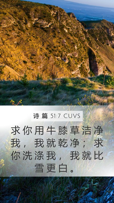 诗 篇 51:7 CUVS Bible Verse Image