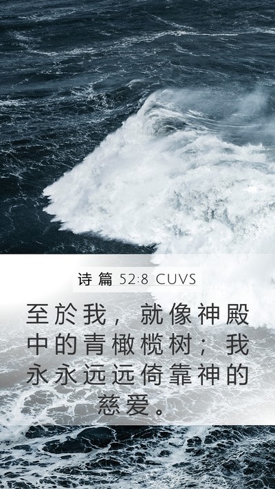 诗 篇 52:8 CUVS Mobile Phone Wallpaper - 至 於 我 ， 就 像 神 殿 中 的 青 橄 - Mobile Bible Verse Wallpaper