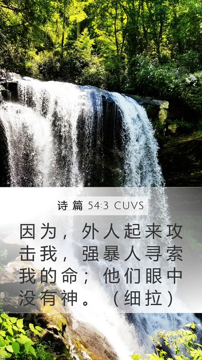 诗 篇 54:3 CUVS Bible Verse Image