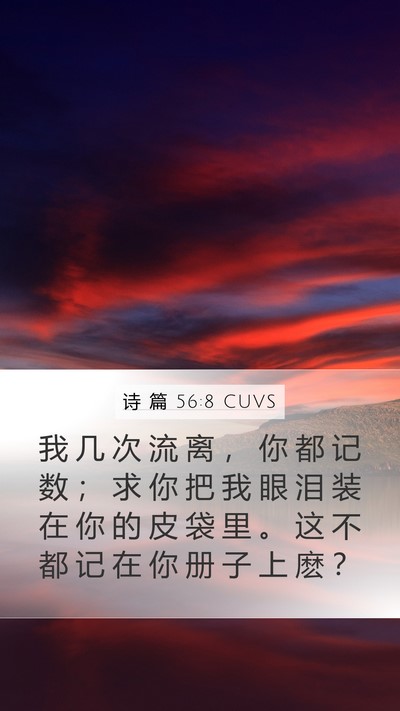 诗 篇 56:8 CUVS Bible Verse Image