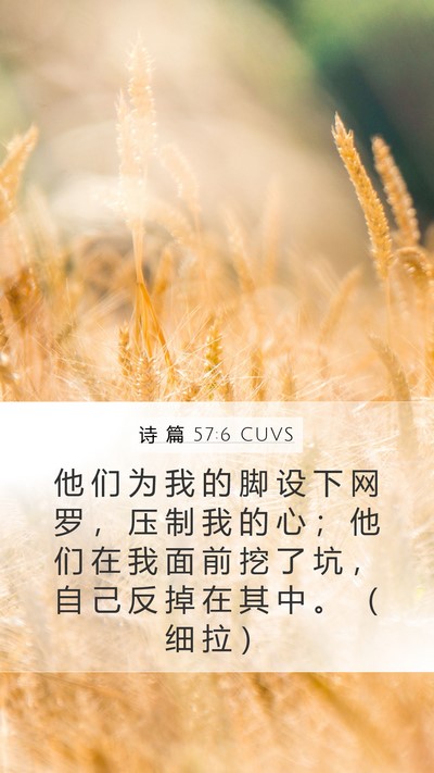 诗 篇 57:6 CUVS Bible Verse Image