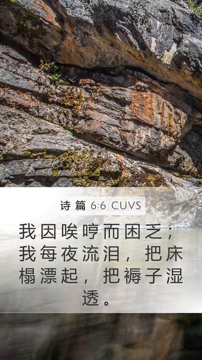 诗 篇 6:6 CUVS Bible Verse Image