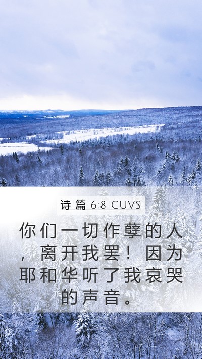 诗 篇 6:8 CUVS Bible Verse Image