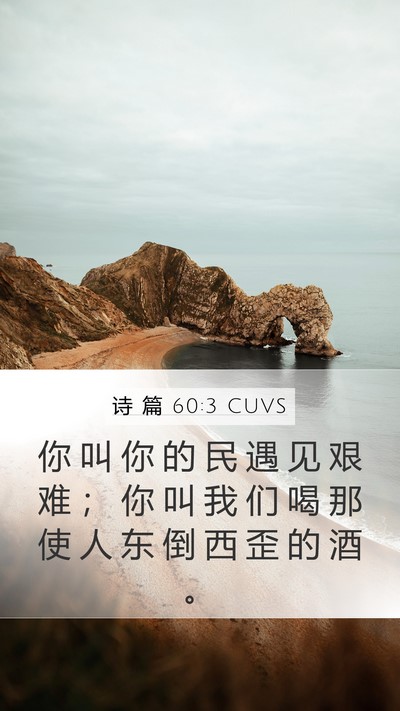 诗 篇 60:3 CUVS Bible Verse Image