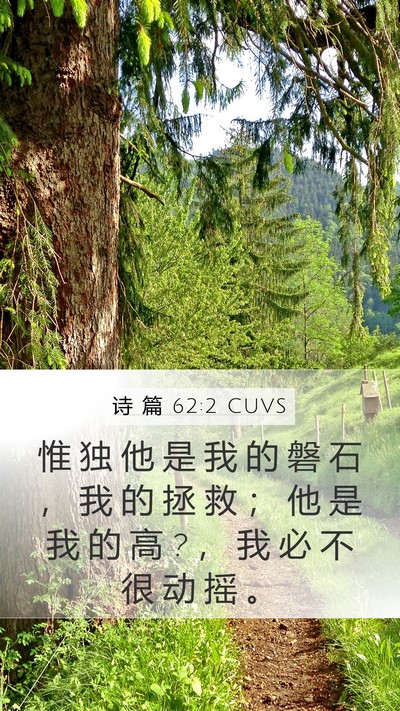 诗 篇 62:2 CUVS Bible Verse Image