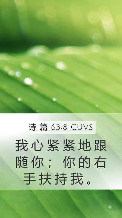 诗 篇 63:8 CUVS Bible Verse Image