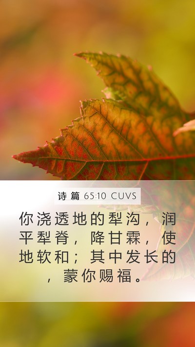 诗 篇 65:10 CUVS Bible Verse Image