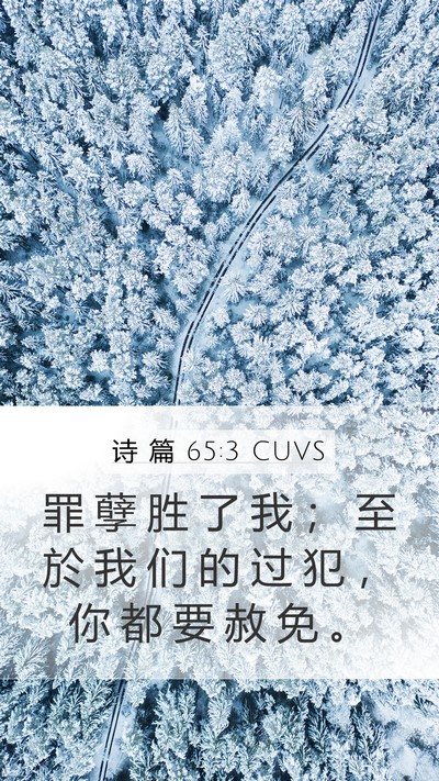 诗 篇 65:3 CUVS Bible Verse Image