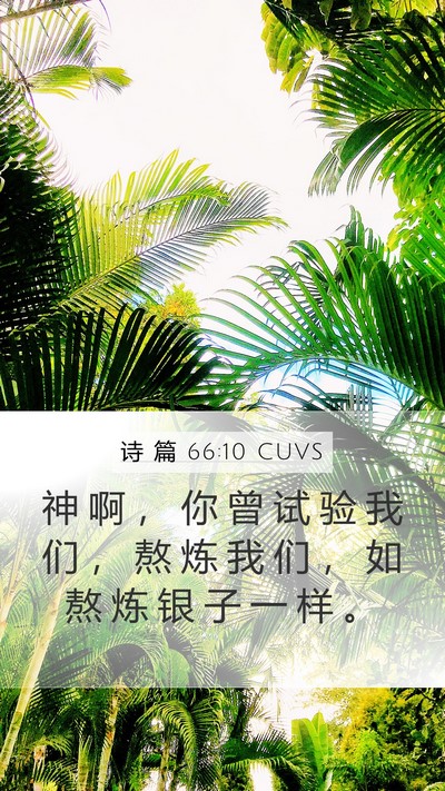 诗 篇 66:10 CUVS Bible Verse Image