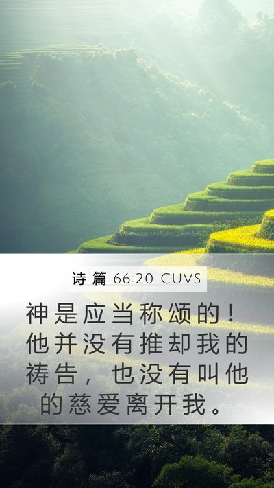 诗 篇 66:20 CUVS Mobile Phone Wallpaper - 神 是 应 当 称 颂 的 ！ 他 并 没 有 - Mobile Bible Verse Wallpaper