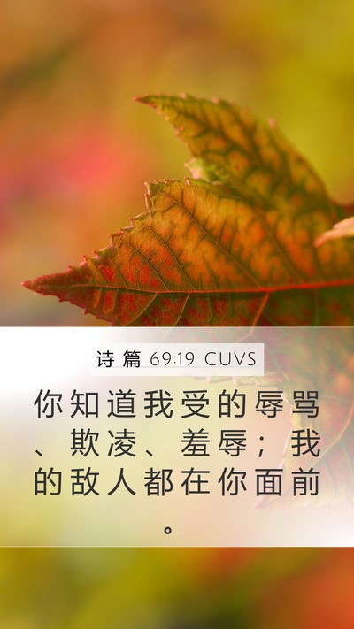 诗 篇 69:19 CUVS Bible Verse Image