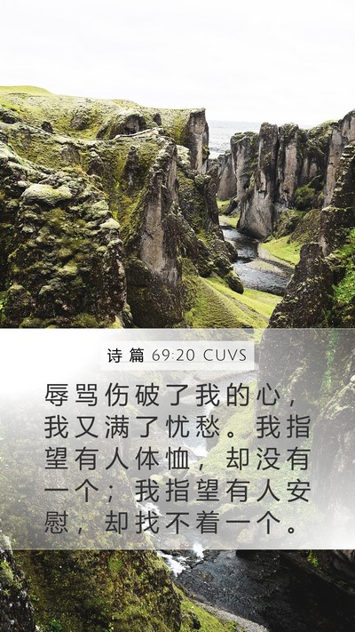 诗 篇 69:20 CUVS Bible Verse Image