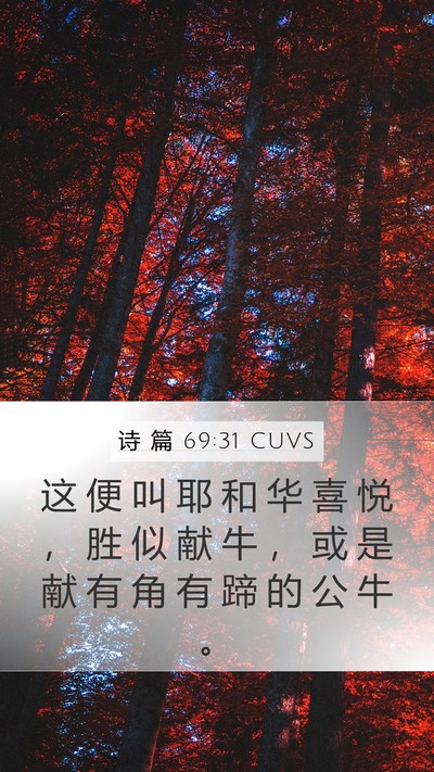 诗 篇 69:31 CUVS Mobile Phone Wallpaper - 这 便 叫 耶 和 华 喜 悦 ， 胜 似 献 - Mobile Bible Verse Wallpaper