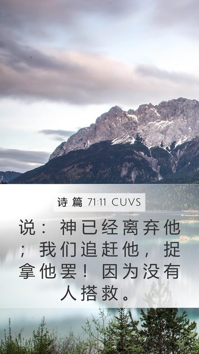 诗 篇 71:11 CUVS Mobile Phone Wallpaper - 说 ： 神 已 经 离 弃 他 ； 我 们 追 - Mobile Bible Verse Wallpaper