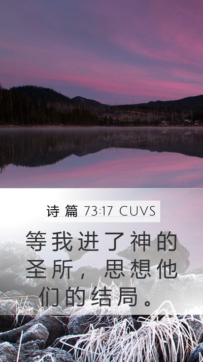 诗 篇 73:17 CUVS Bible Verse Image