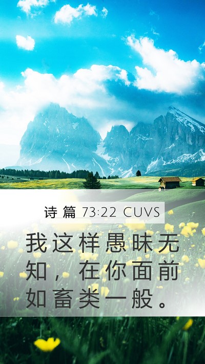 诗 篇 73:22 CUVS Bible Verse Image