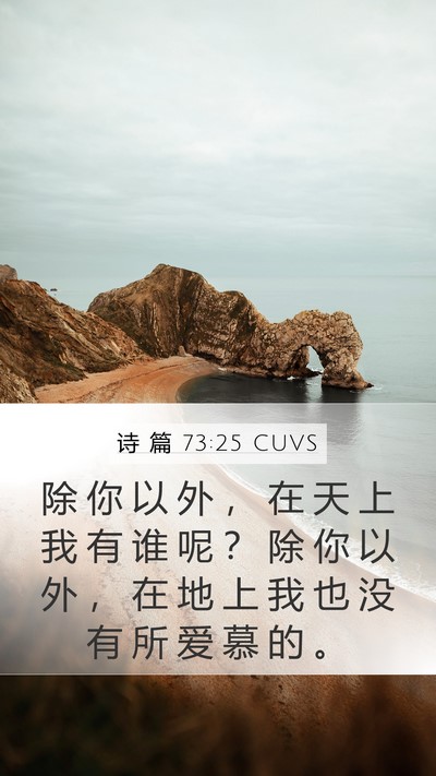 诗 篇 73:25 CUVS Bible Verse Image