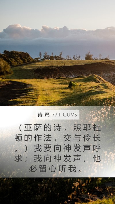 诗 篇 77:1 CUVS Bible Verse Image