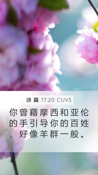 诗 篇 77:20 CUVS Bible Verse Image