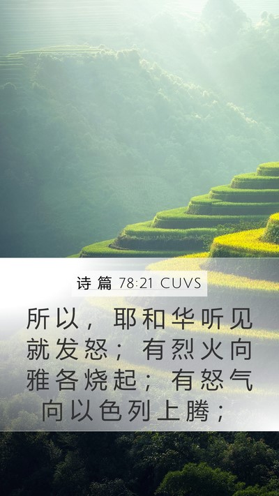诗 篇 78:21 CUVS Bible Verse Image
