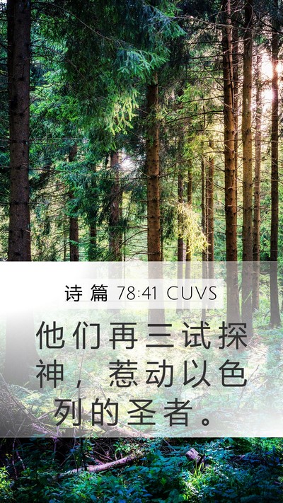 诗 篇 78:41 CUVS Bible Verse Image