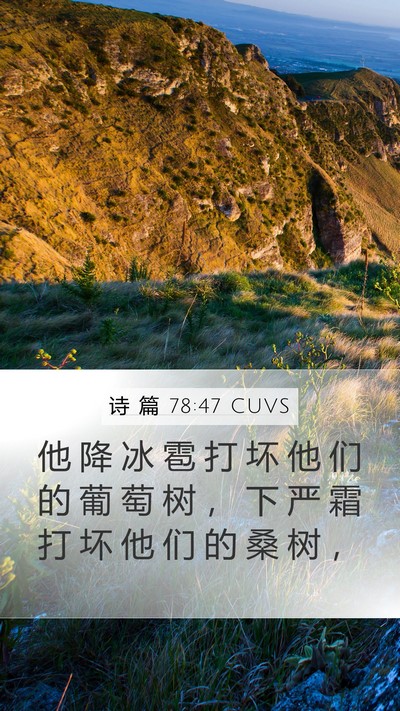 诗 篇 78:47 CUVS Bible Verse Image