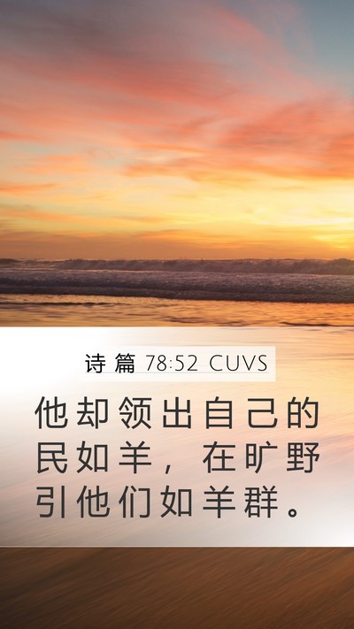 诗 篇 78:52 CUVS Bible Verse Image