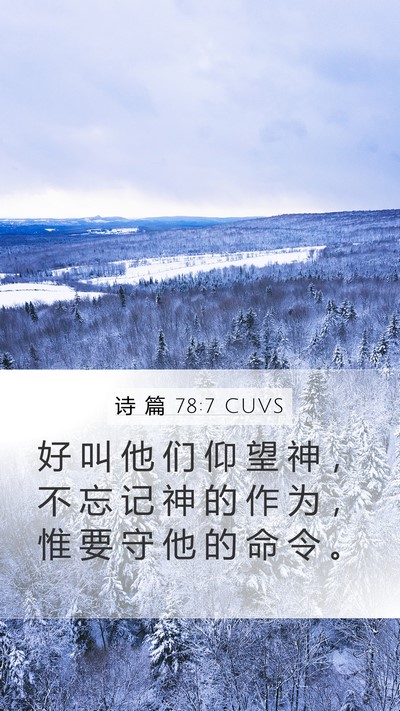 诗 篇 78:7 CUVS Mobile Phone Wallpaper - 好 叫 他 们 仰 望 神 ， 不 忘 记 神 - Mobile Bible Verse Wallpaper