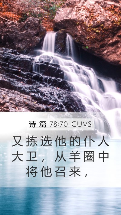诗 篇 78:70 CUVS Bible Verse Image