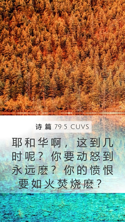 诗 篇 79:5 CUVS Bible Verse Image