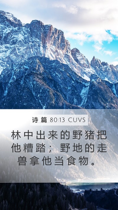 诗 篇 80:13 CUVS Bible Verse Image