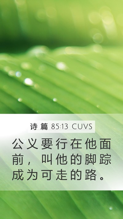 诗 篇 85:13 CUVS Bible Verse Image