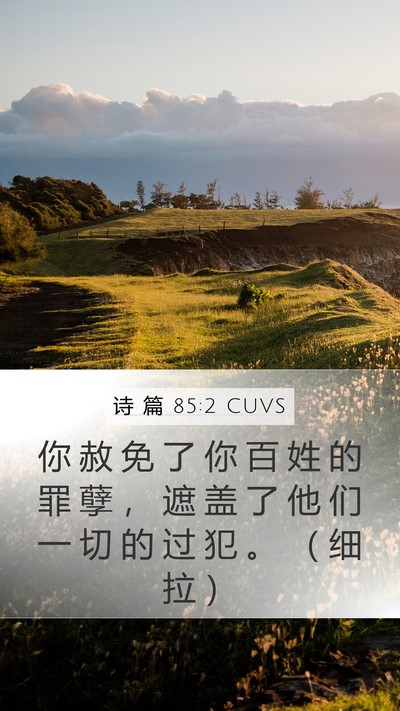 诗 篇 85:2 CUVS Bible Verse Image