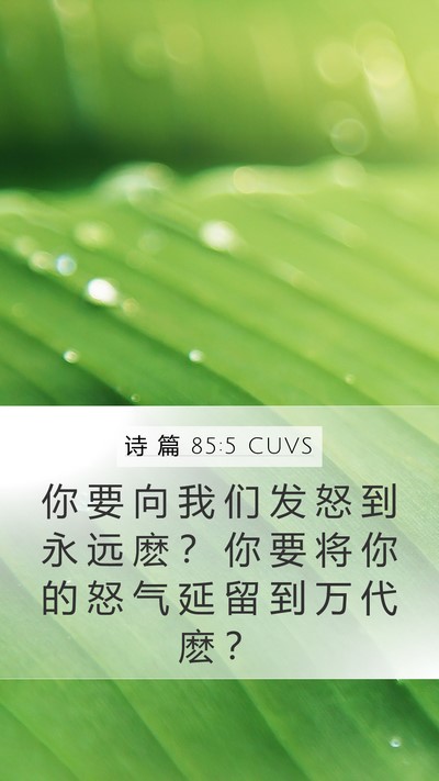 诗 篇 85:5 CUVS Bible Verse Image