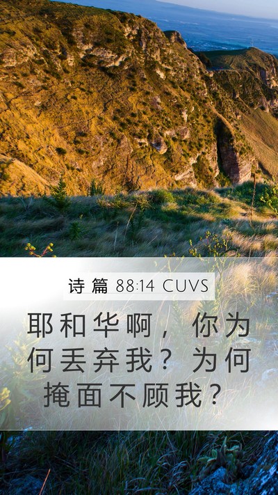 诗 篇 88:14 CUVS Bible Verse Image