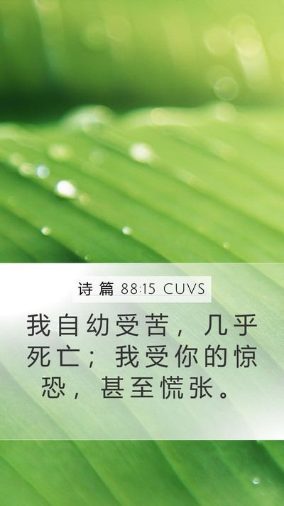 诗 篇 88:15 CUVS Bible Verse Image