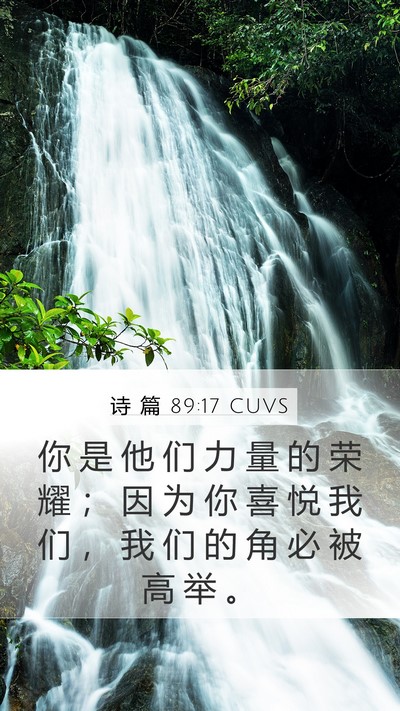 诗 篇 89:17 CUVS Bible Verse Image