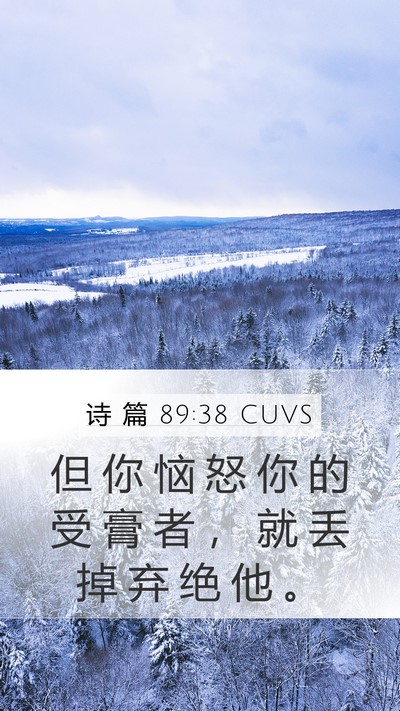 诗 篇 89:38 CUVS Bible Verse Image