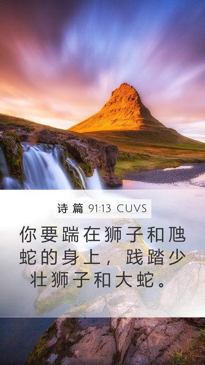 诗 篇 91:13 CUVS Mobile Phone Wallpaper - 你 要 踹 在 狮 子 和 虺 蛇 的 身 上 - Mobile Bible Verse Wallpaper