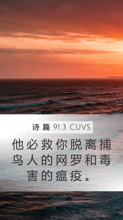 诗 篇 91:3 CUVS Bible Verse Image