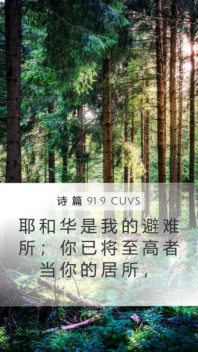 诗 篇 91:9 CUVS Bible Verse Image