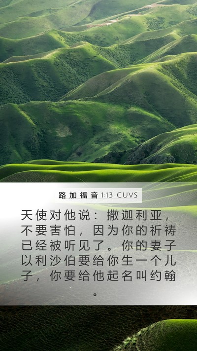 路 加 福 音 1:13 CUVS Bible Verse Image