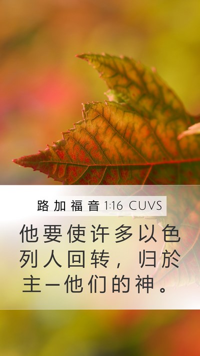 路 加 福 音 1:16 CUVS Bible Verse Image