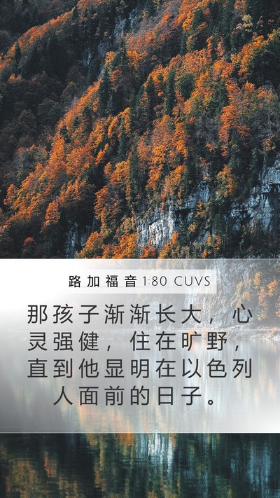 路 加 福 音 1:80 CUVS Bible Verse Image