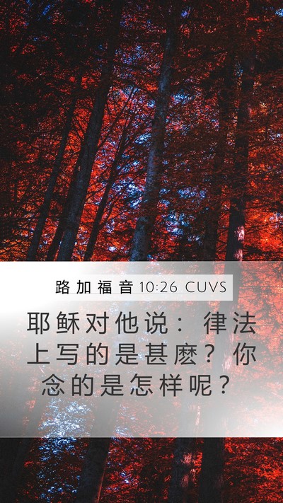 路 加 福 音 10:26 CUVS Bible Verse Image