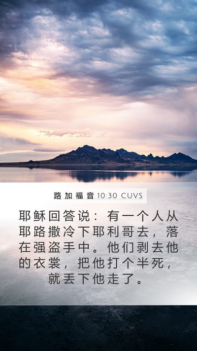 路 加 福 音 10:30 CUVS Bible Verse Image