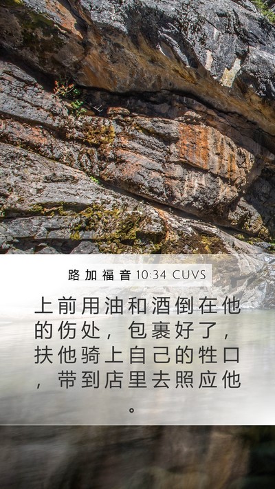 路 加 福 音 10:34 CUVS Bible Verse Image