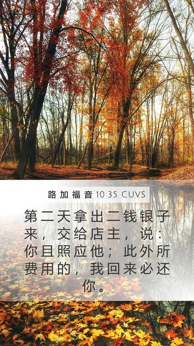 路 加 福 音 10:35 CUVS Bible Verse Image