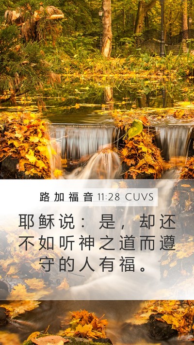 路 加 福 音 11:28 CUVS Bible Verse Image