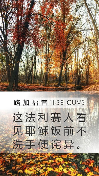 路 加 福 音 11:38 CUVS Bible Verse Image